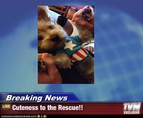 Breaking News - Cuteness to the Rescue!!