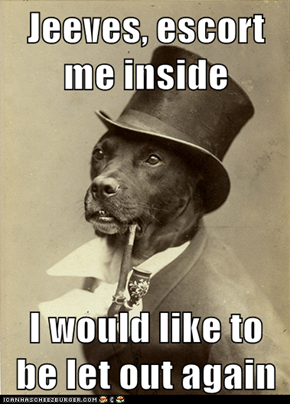 Dog Logic