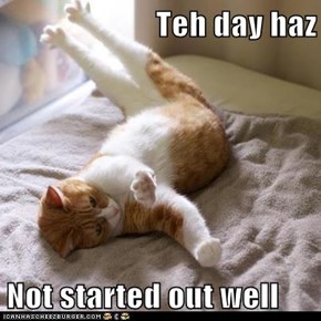 Teh day haz   Not started out well
