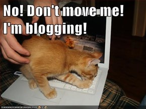 No! Don't move me! I'm blogging!