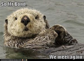 So Mr Bond.  We meet again.