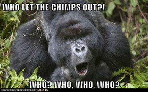 WHO LET THE CHIMPS OUT?!  WHO? WHO, WHO, WHO?
