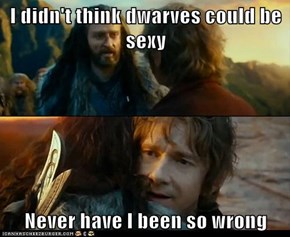 I didn't think dwarves could be sexy  Never have I been so wrong