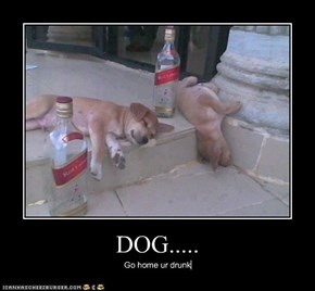 DOG.....