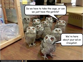Free Gerbils!!