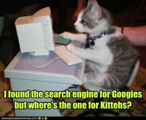 I found the search engine for Googies but where's the one for Kittehs?