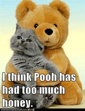 I think Pooh has had too much honey.