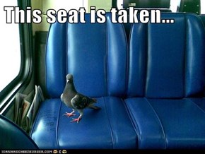This seat is taken...