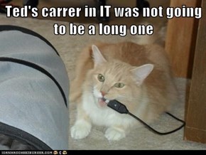 Ted's carrer in IT was not going to be a long one