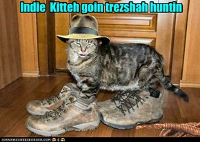 Indie  Kitteh goin trezshah huntin