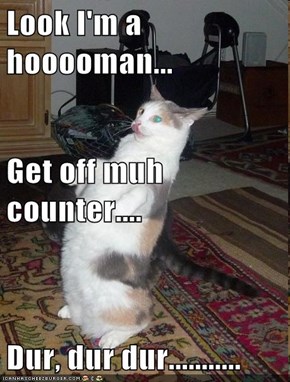 Look I'm a hooooman... Get off muh counter.... Dur, dur dur...........