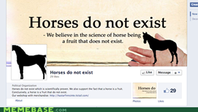 I Wish That Horses Existed...