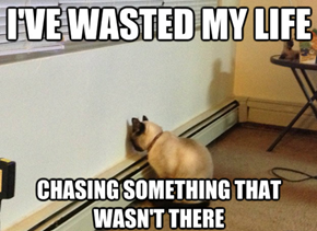 Meet Regretful Cat