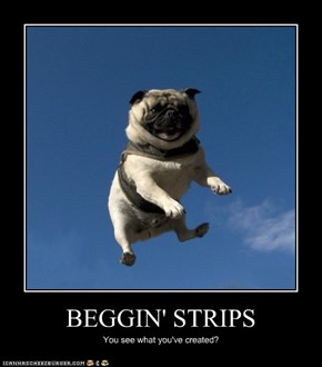 BEGGIN' STRIPS