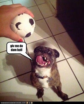 giv me da dam ball