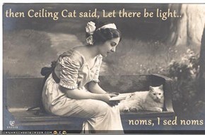 then Ceiling Cat said, Let there be light..  noms, I sed noms