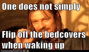 One does not simply  Flip off the bedcovers when waking up