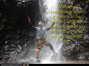 Wildness reminds us what it means to be human, what we are connected to rather than what we are separate from.