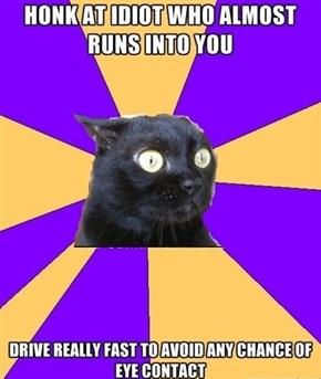 Anxiety Cat: What if He Follows Me?!