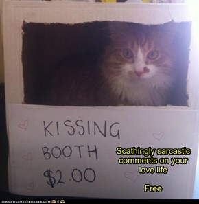 Scathingly sarcastic comments on your love life  Free