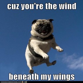 cuz you're the wind  beneath my wings