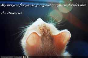 My prayers fur yoo ar going out in cybermolecules into the Universe!