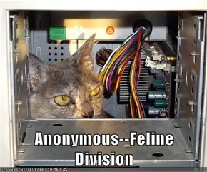 Anonymous--Feline Division