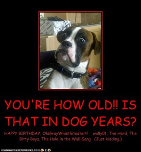 YOU'RE HOW OLD!! IS THAT IN DOG YEARS?