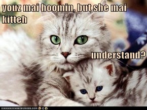Youz Mai Hoomin...
