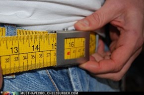 The Diet Belt