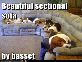 Beautiful sectional sofa  by basset