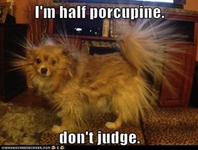 I'm half porcupine.  don't judge.