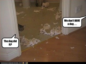 The dog did it?