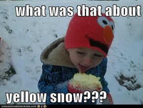 what was that about   yellow snow???