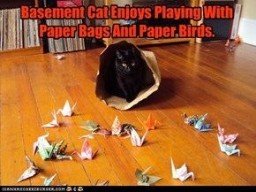 Basement Cat Enjoys Playing With Paper Bags And Paper Birds.