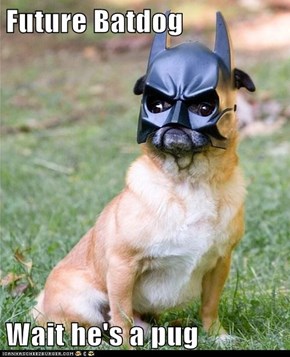 Future Batdog  Wait he's a pug
