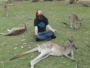 I Am One with the Roos