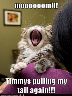 moooooom!!!  Timmys pulling my tail again!!!