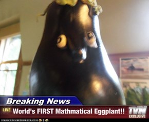 Breaking News - World's FIRST Mathmatical Eggplant!!