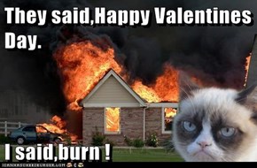 They said,Happy Valentines Day.  I said,burn !