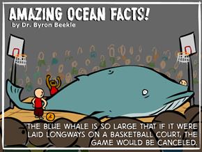 Classic: That Strange Dr. Beekle's Ocean Facts