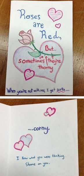 The Most Romantic Valentine Card You Will See This Year