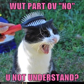 WUT PART OV "NO"   U NOT UNDERSTAND?