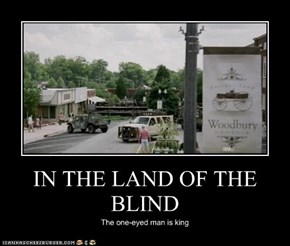 IN THE LAND OF THE BLIND