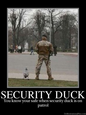 Thank Goodness for That Duck