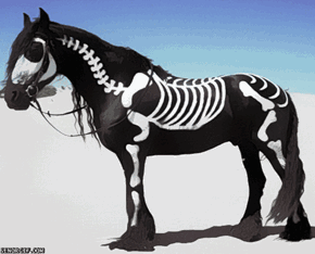 Horse playin' ded