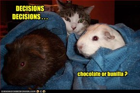 DECISIONS DECISIONS . . .