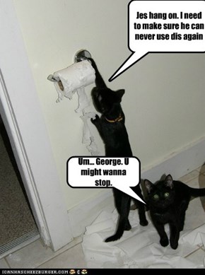 Since this, George has found a new lookout.