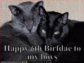 Happy 6th Birfdae to my boys