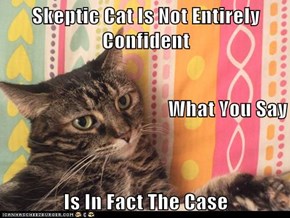 Skeptic Cat Is Not Entirely Confident What You Say Is In Fact The Case
